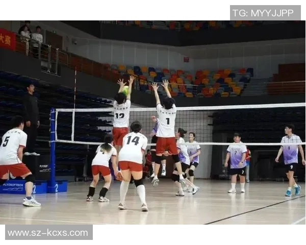 成都排球队的耐力探秘与训练揭秘展现排球运动的魅力与坚持